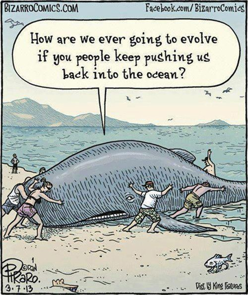 Evolution Cartoon 1 